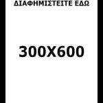 300X600 233