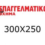300x250 233