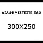 300x250 2333