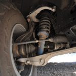 Raptor_youtruck (5)3 (Medium)