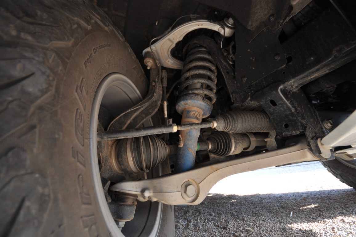 Raptor_youtruck (5)3 (Medium)