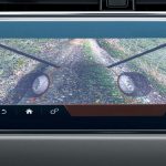 Transparent Hood (Medium)