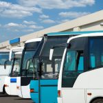 bus-fotos (4)