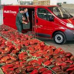 Opel-Vivaro-A-2001-62670 (Medium)