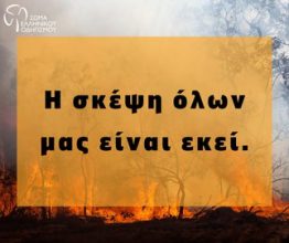 ΣΏΜΑ ΕΛΛΗΝΙΚΟΎ ΟΔΗΓΙΣΜΟΎ