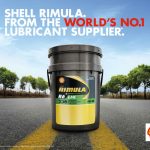 shell_rimula (10)