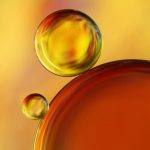 shell (1)